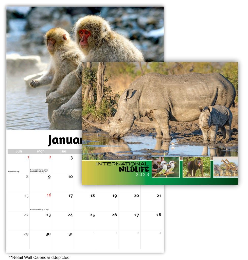 International Wildlife Wall Calendar Quality Wall Calendar Gift - International Wildlife Wall Calendar