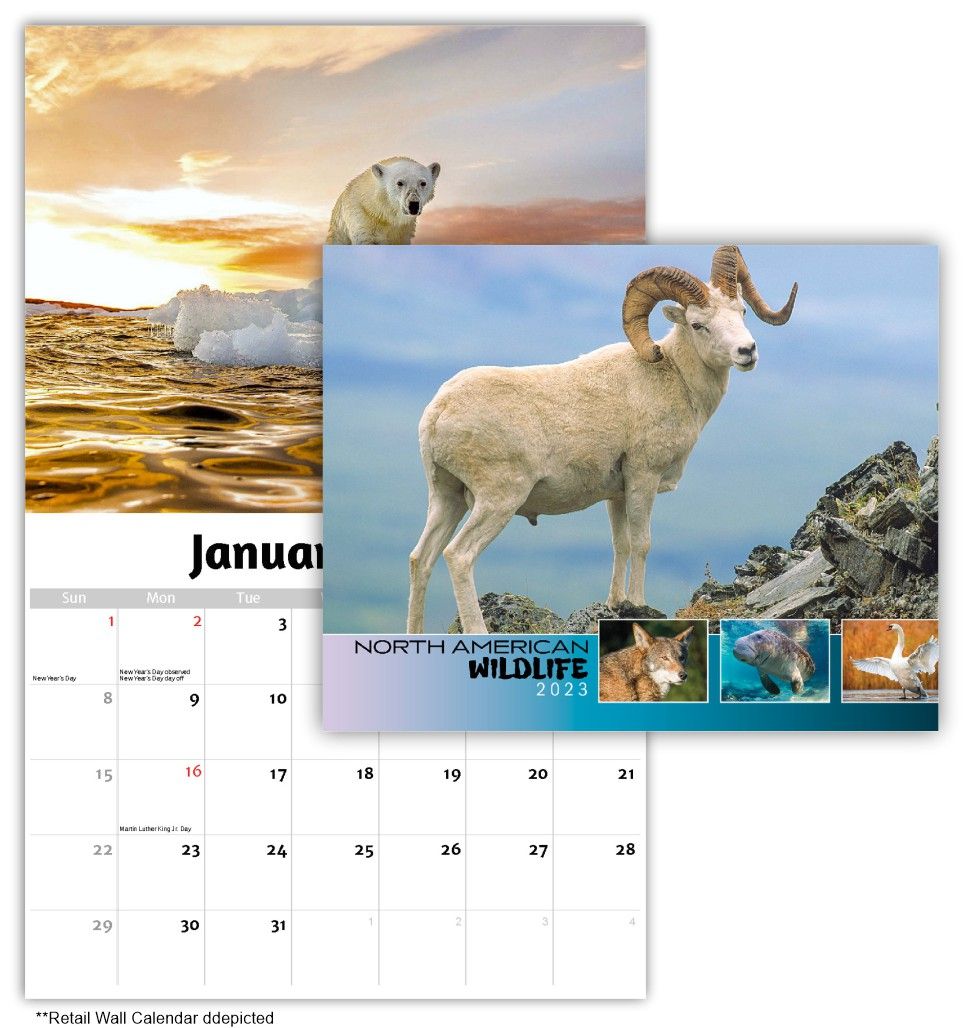 North American Wildlife Wall Calendar Quality Wall Calendar Gift - North American Wildlife Wall Calendar