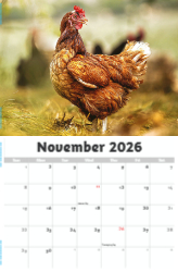 Country Spirit Theme Template