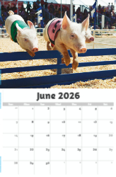 Country Spirit Theme Template