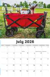 Country Spirit Theme Template