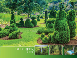 Go Green Theme Template
