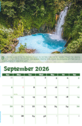 Go Green Theme Template