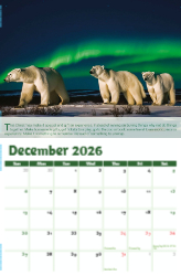 Go Green Theme Template