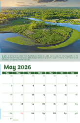 Go Green Theme Template