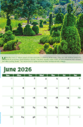 Go Green Theme Template