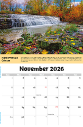 Health Tips Theme Template