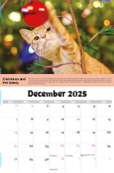 Health Tips Theme Template