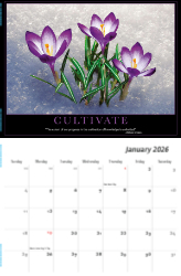 Motivation Theme Template