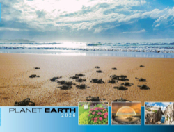 Planet Earth Theme Template