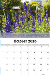 Planet Earth Theme Template