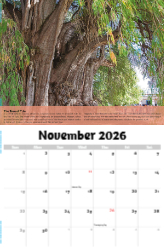 Planet Earth Theme Template