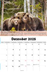 Planet Earth Theme Template