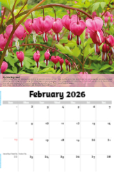 Planet Earth Theme Template