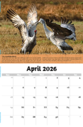 Planet Earth Theme Template