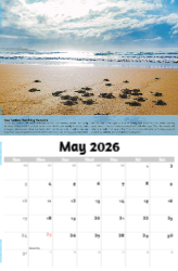 Planet Earth Theme Template