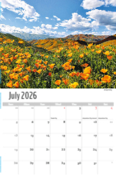 Scenes of California Theme Template