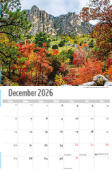 Scenes of Texas Theme Template