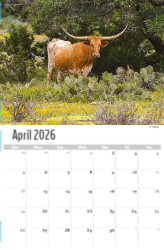 Scenes of Texas Theme Template