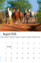 Scenes of Texas Theme Template