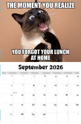 The Memeing of Life Theme Template