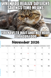 The Memeing of Life Theme Template