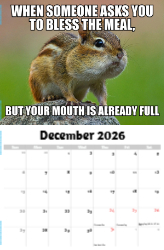 The Memeing of Life Theme Template