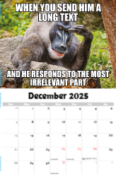 The Memeing of Life Theme Template