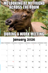 The Memeing of Life Theme Template