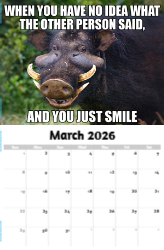 The Memeing of Life Theme Template