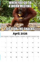 The Memeing of Life Theme Template