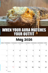 The Memeing of Life Theme Template