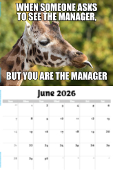 The Memeing of Life Theme Template