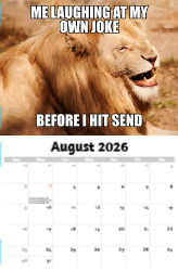 The Memeing of Life Theme Template