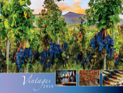 Vintages, Wine Tips Theme Template