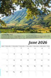 Vintages, Wine Tips Theme Template