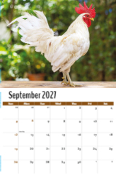 Country Spirit Theme Template
