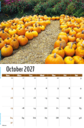 Country Spirit Theme Template