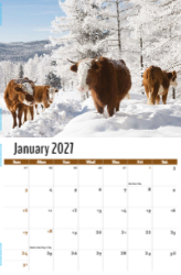 Country Spirit Theme Template