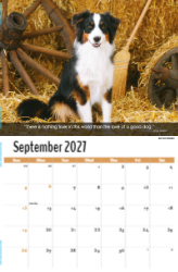 Dogs, Man's Best Friend Theme Template