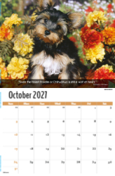 Dogs, Man's Best Friend Theme Template