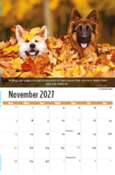 Dogs, Man's Best Friend Theme Template