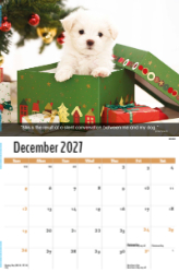 Dogs, Man's Best Friend Theme Template