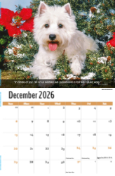 Dogs, Man's Best Friend Theme Template