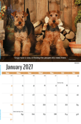 Dogs, Man's Best Friend Theme Template