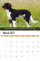 Dogs, Man's Best Friend Theme Template