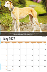 Dogs, Man's Best Friend Theme Template