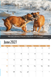 Dogs, Man's Best Friend Theme Template