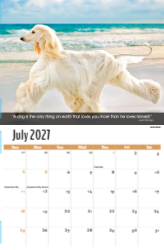 Dogs, Man's Best Friend Theme Template