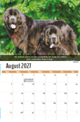 Dogs, Man's Best Friend Theme Template